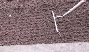 rake seed bed