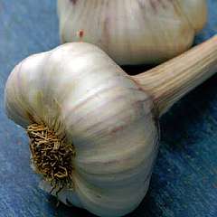 autumn planting garlic
