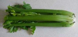 celery harvest
