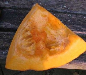 pumpkin slice