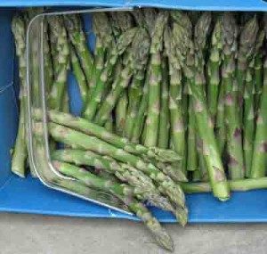 asparagus basket 