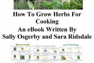 eBook How to Grow Herbs for Cooking
