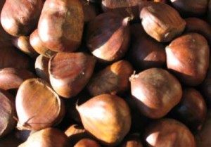 sweet chestnuts