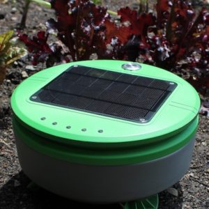 terthill weeding robot