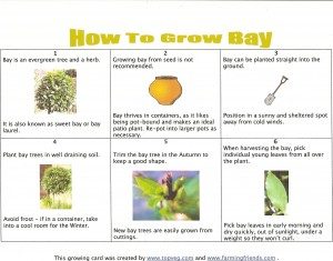 how2groBay